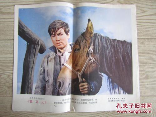 本科毕业证学位证怎么补办